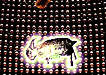 A vision of a dead rabbit from The Bunny Boy